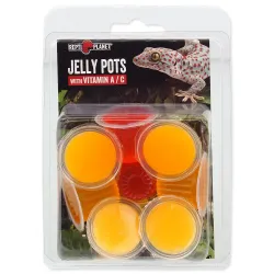 Hrana Repti Planet Jelly Pots Fruit 8 kos