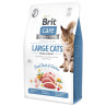 Hrana Brit Care Cat brez žit za velike mačke Power & Vitality 2 kg