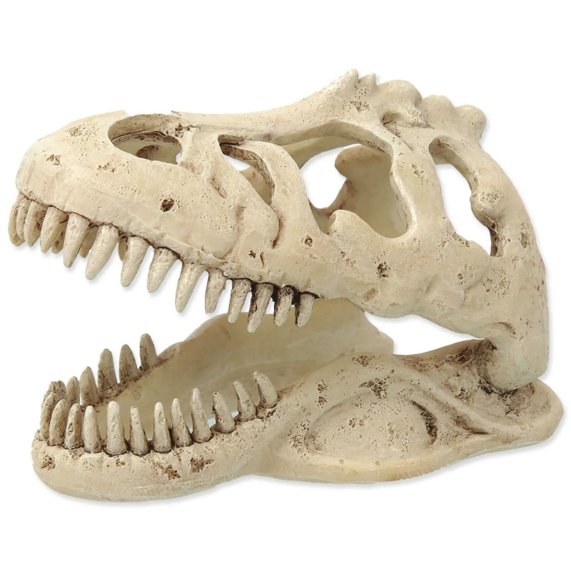Dekoracija Repti Planet T-REX lobanja 13,3x8,5x9cm