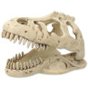 Dekoracija Repti Planet T-REX lobanja 13,3x8,5x9cm
