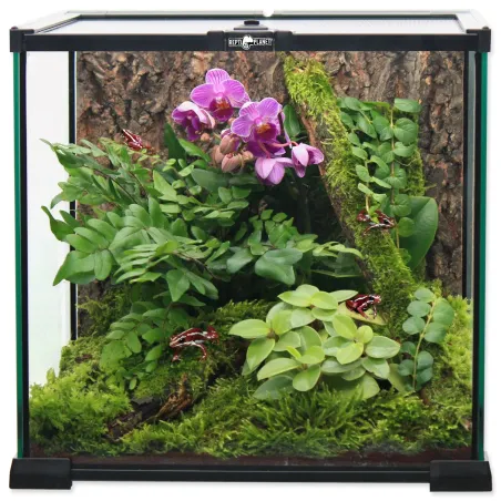 Steklen terarij Repti Planet 20x20x20cm