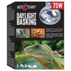 Žarnica Repti Planet Daylight Basking Spot 75W