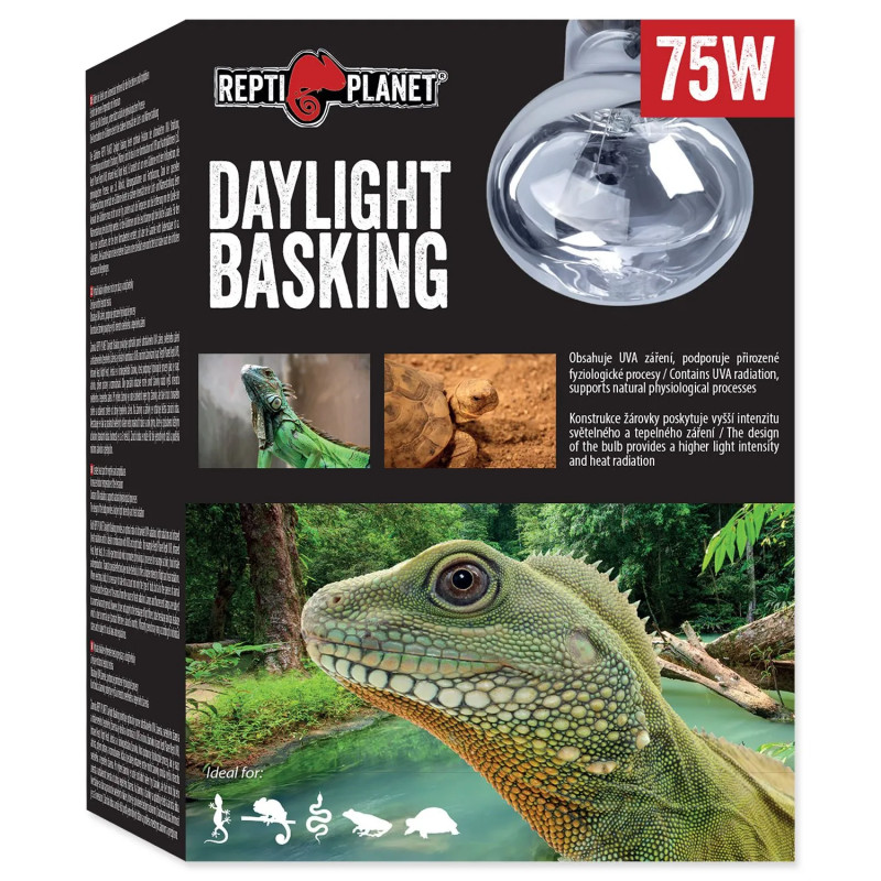 Žarnica Repti Planet Daylight Basking Spot 75W