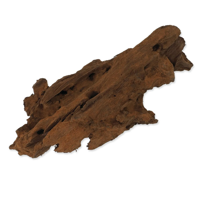 Dekoracija Repti Planet Korenina DriftWood Bulk XS 19-23cm