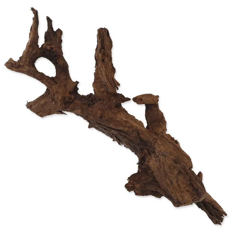 Dekoracija Repti Planet DriftWood Bulk XL 55-100cm