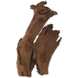 Dekoracija Repti Planet Koren DriftWood Bulk M 29-36 cm