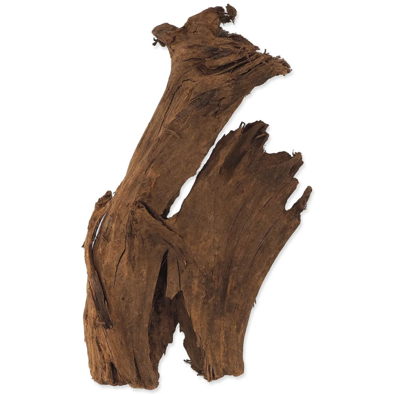 Dekoracija Repti Planet Koren DriftWood Bulk M 29-36 cm