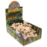 Display Kost Dentosaurus kalcijeva 8,5 cm 56 kos