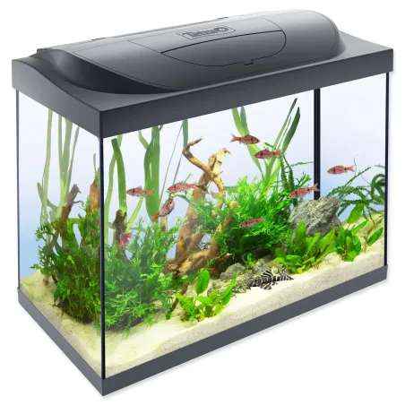 Akvarijski komplet Tetra Starter Line LED 61×32×51 cm 80 l
