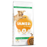 Krmivo IAMS Dog Adult Large Chicken 12 kg