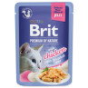 Vrečka Brit Premium by Nature piščančji fileti v želeju 85 g