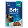 Vrečka Brit Premium by Nature goveji fileti v omaki 85g