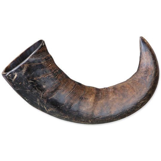 Žvečilni rog Genuine buffalo velik