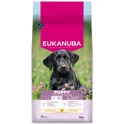 Hrana EUKANUBA Puppy Large, bogata s svežim piščancem 15 kg