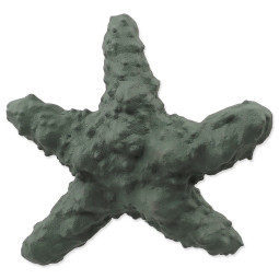 Igrača Dog Fantasy Sea NaturalToy morska zvezda, gumijasta, zelena, 15 cm