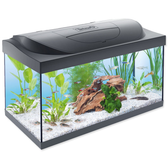Akvarijski komplet Tetra Starter Line LED 60x30x30cm 54l