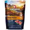 Ontario Puppy Medium Jagnjetina in rjavi riž 0,1 kg
