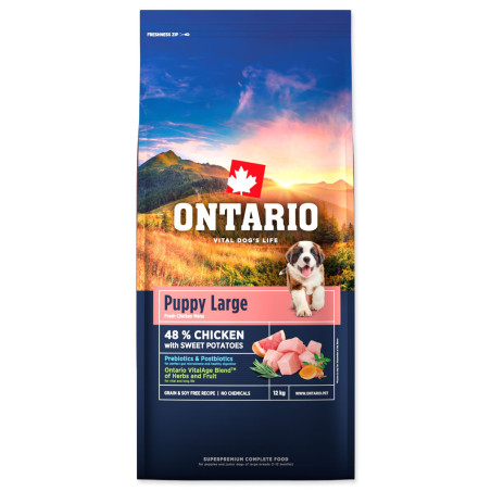Ontario Puppy & Junior Large Piščanec & sladki krompir 12 kg