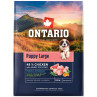 Hrana Ontario Puppy & Junior Large Piščanec & sladki krompir 2,25 kg