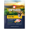 Hrana Ontario Senior Mini Fish & Brown Rice 2,25kg