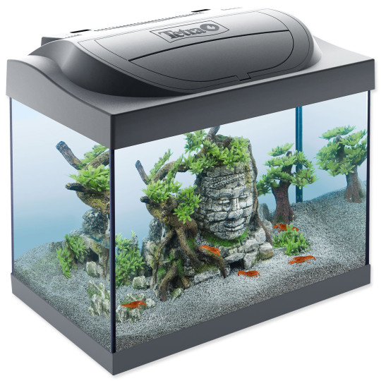 Akvarijski set Tetra Starter Line LED Shrimp 44x37x30cm 30l