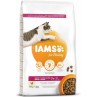 Krmivo IAMS Cat Senior Chicken 10 kg