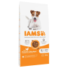 Hrana IAMS Dog Senior Small & Medium Piščanec 12kg