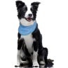 Hladilna ruta Dog Fantasy L 38-52 cm