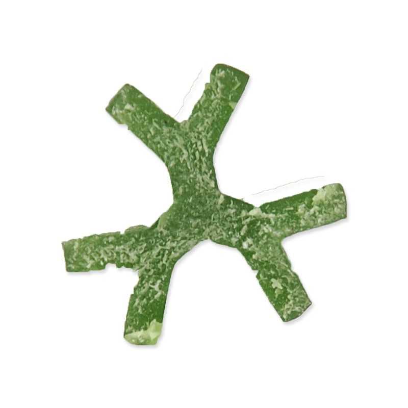 Dentosaurus palčka s klorofilom S 10cm 160 kos