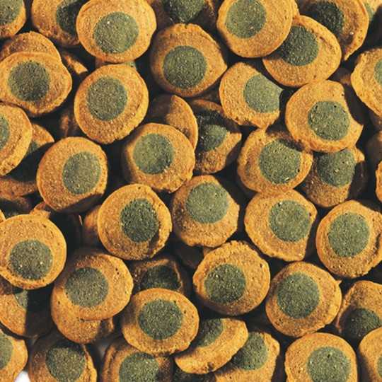 Hrana Tetra Pleco Spirulina Wafers vrečka 15 g