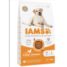 Hrana IAMS za odrasle velike pse, piščanec, 3 kg